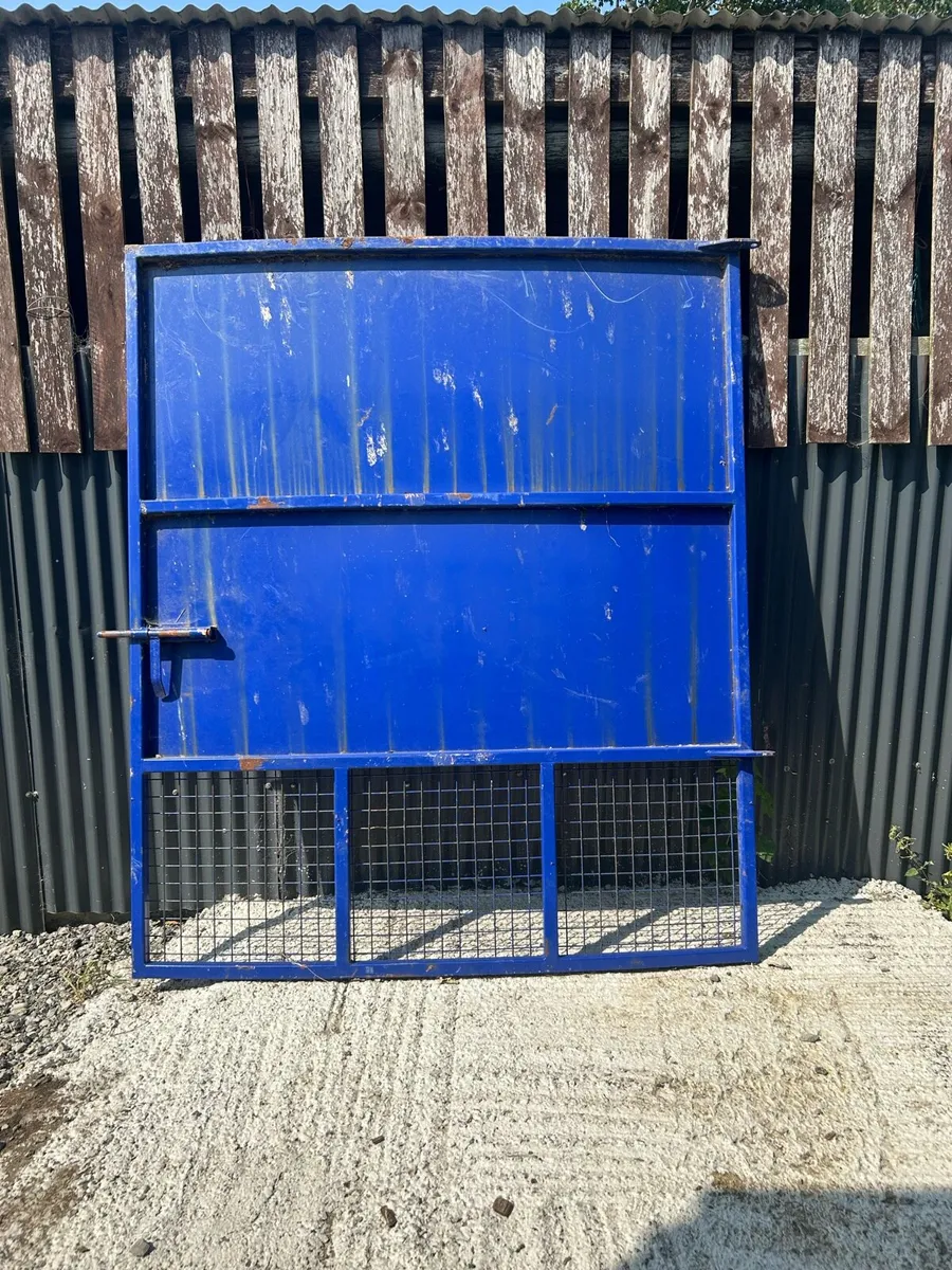 Steel Door - Image 1