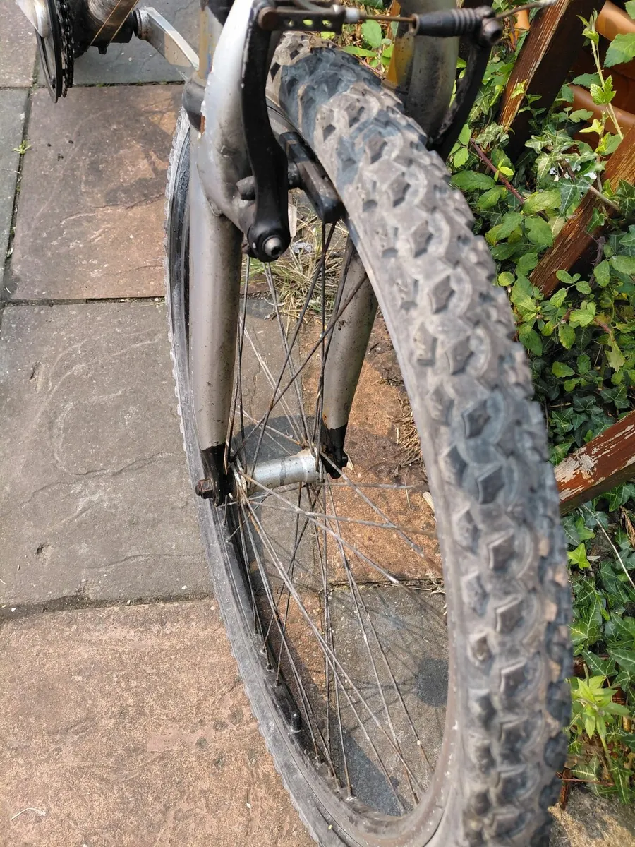 Mountain Bike - Image 1