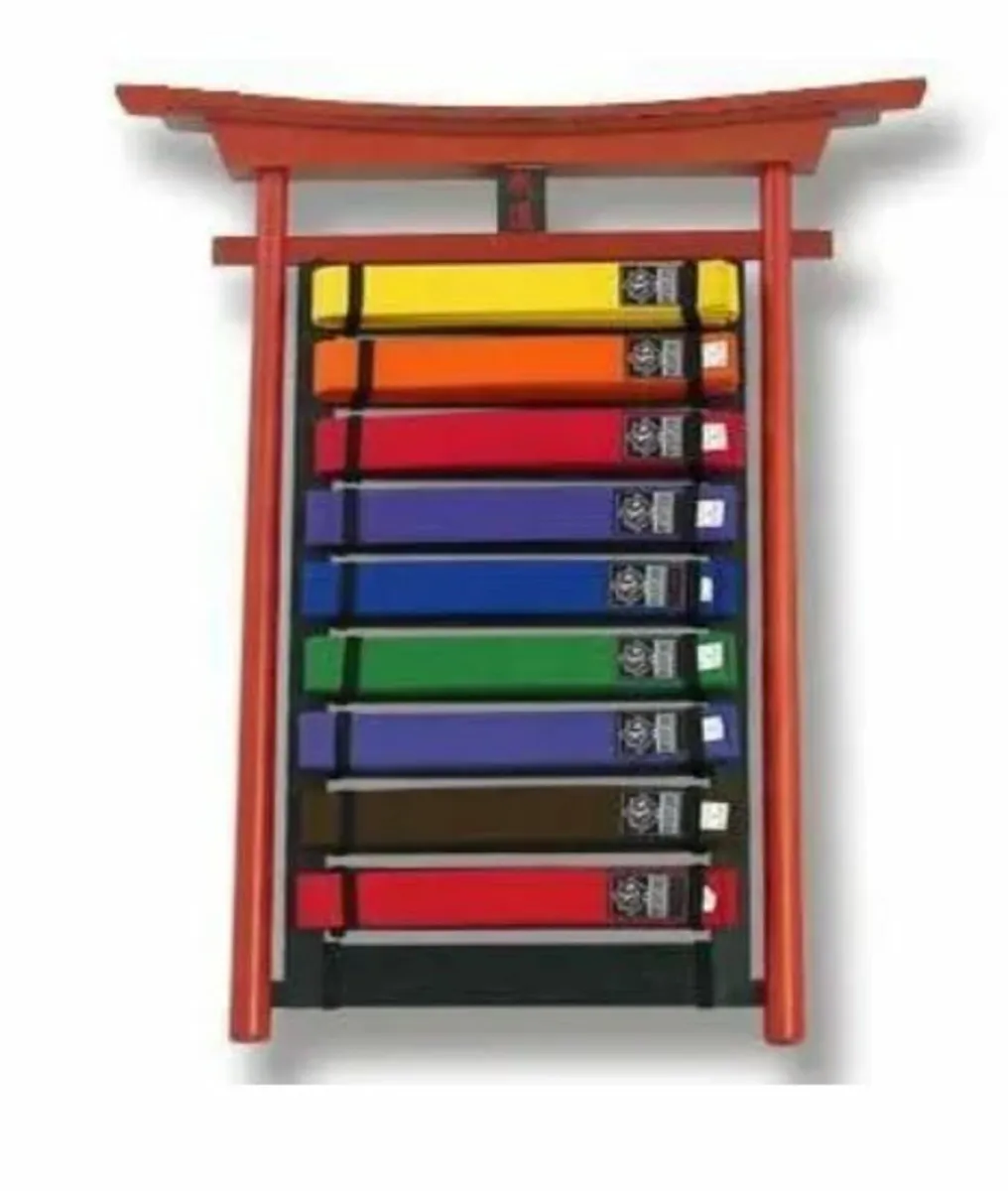 Martial art belt display