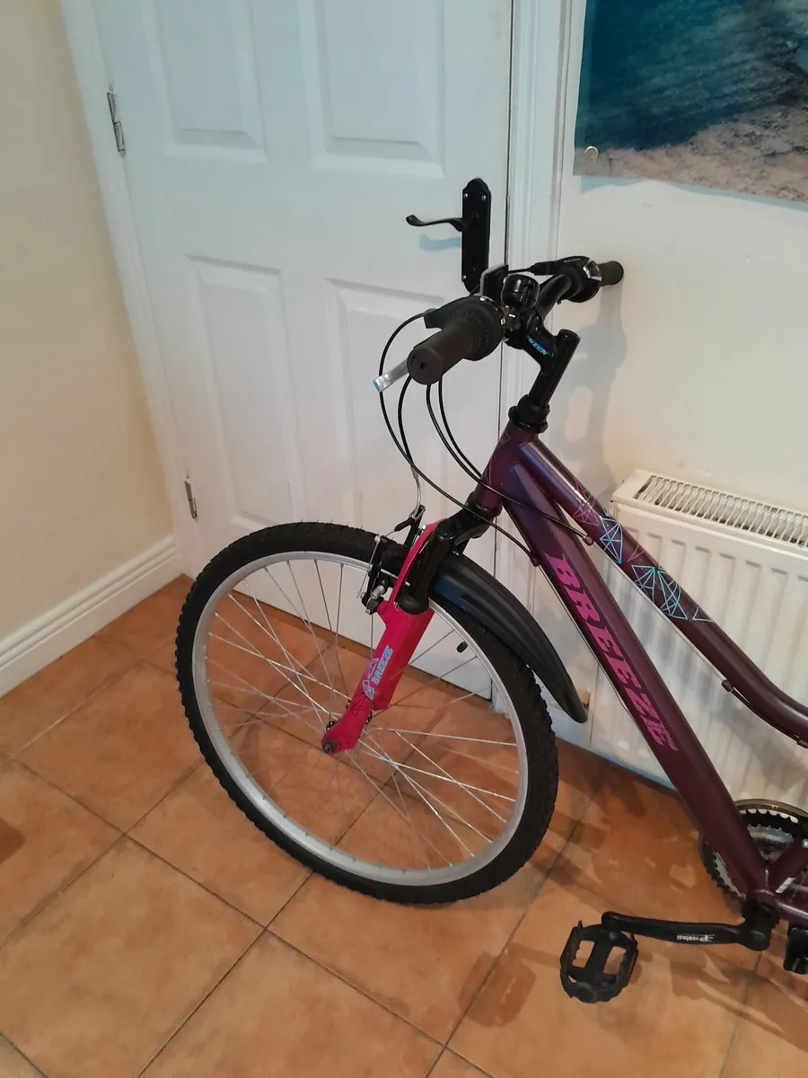 Bicycle - Image 3