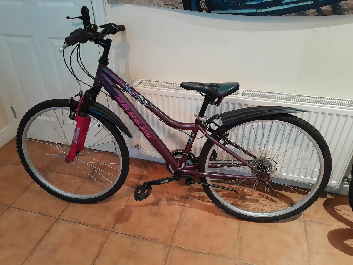 Bicycle - Image 4