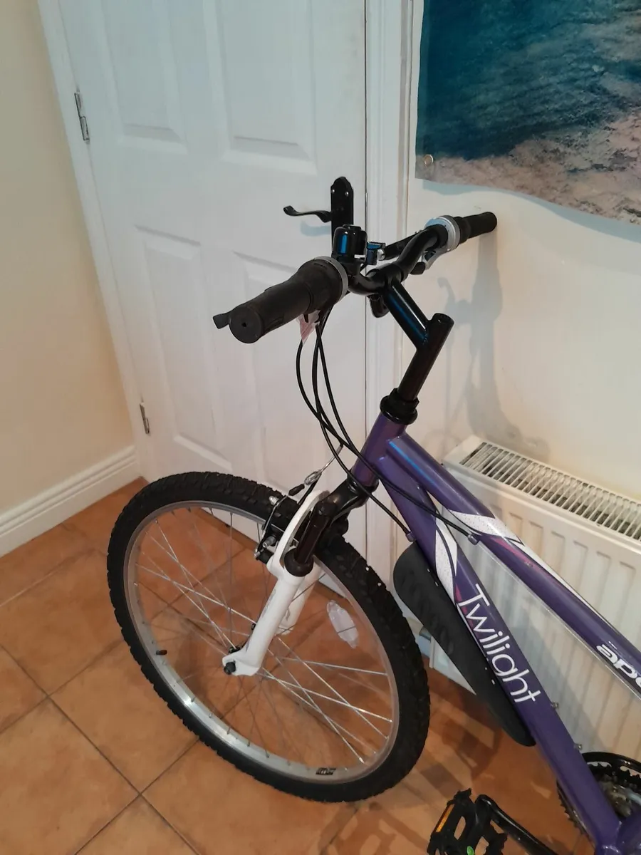 Bicycle - Image 3
