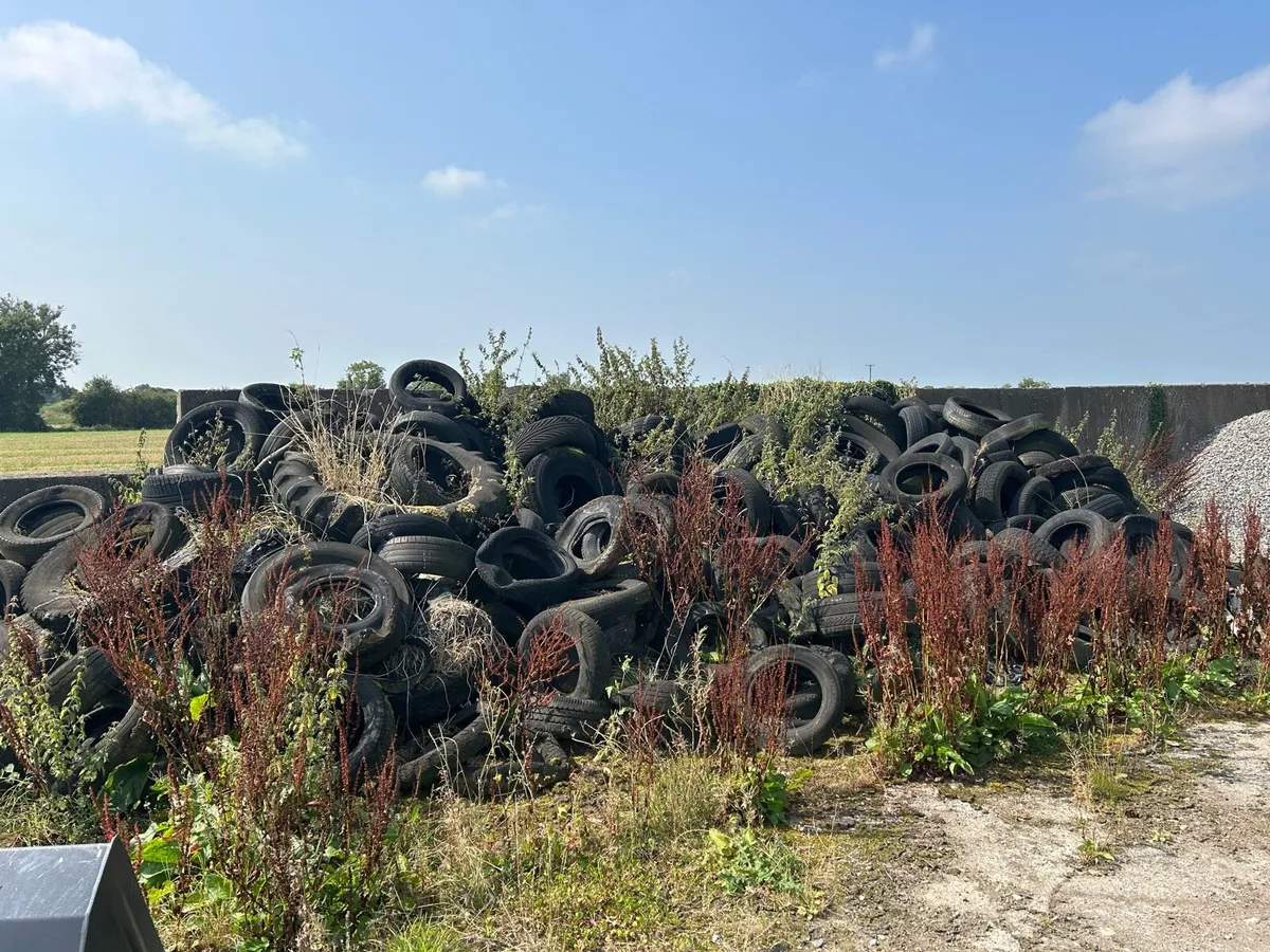 Old silage pit tyres FREE