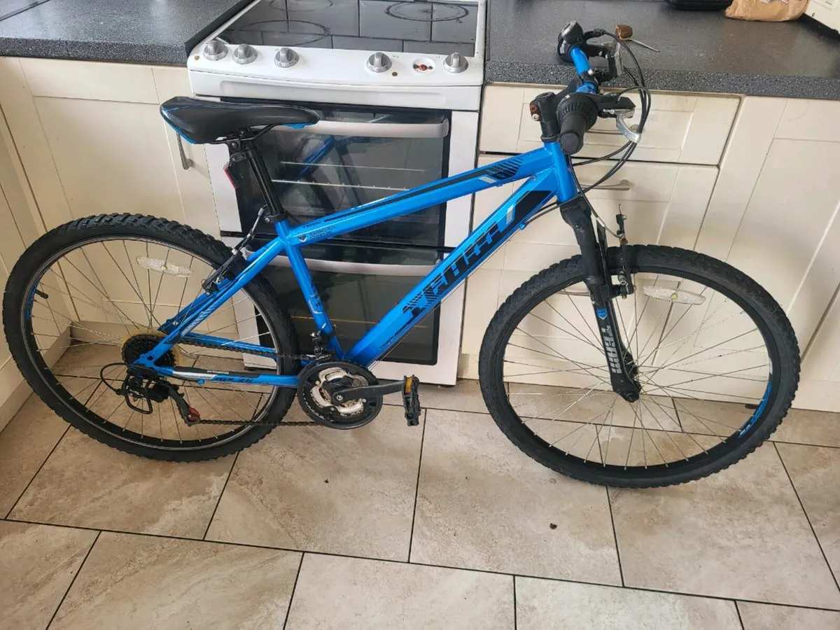 Bike - Image 1