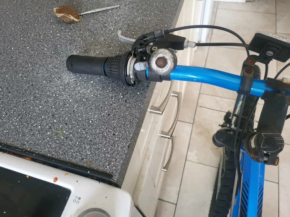 Bike - Image 4