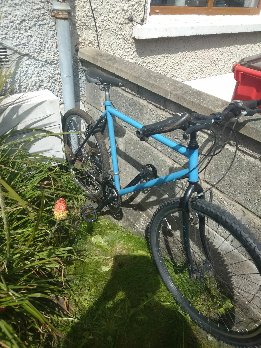 Bicycle - Image 1