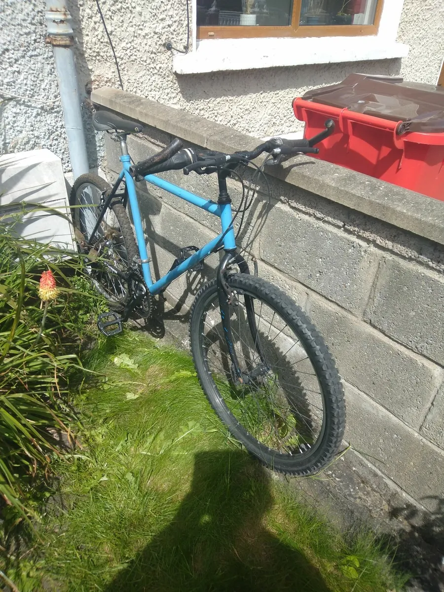 Bicycle - Image 2