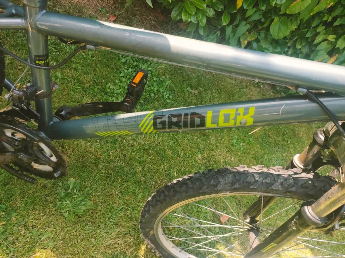FREE Apollo Bicycle - Image 3