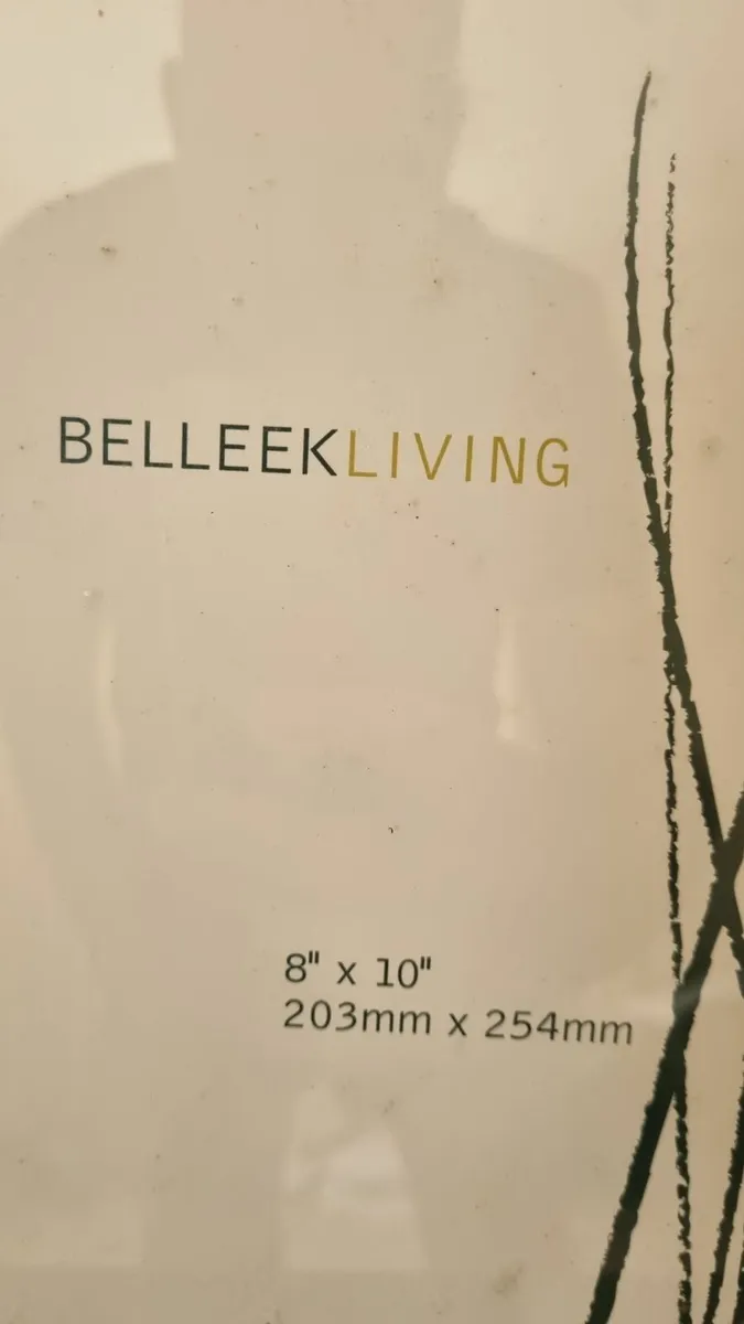 Large Belleek Living Photo Frame - Image 3