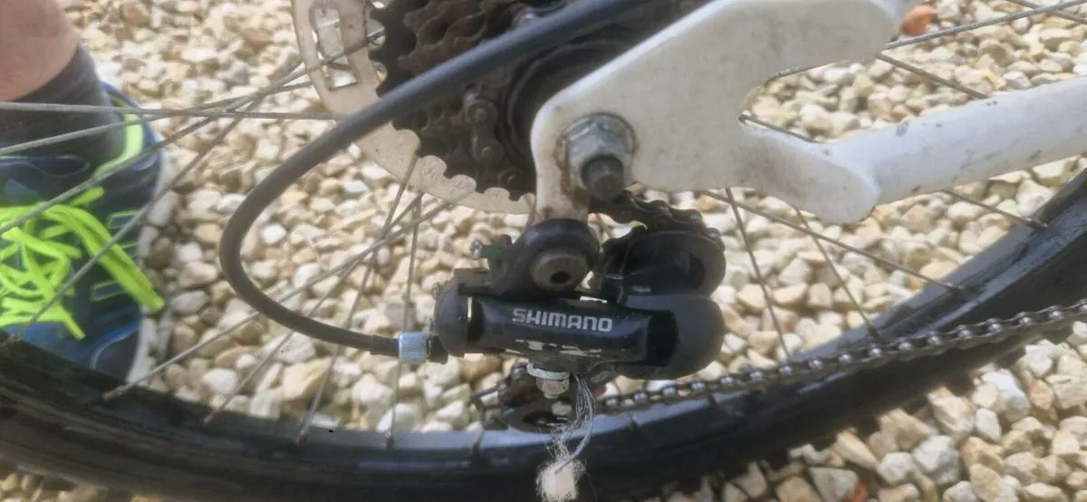 Bicycle - Image 3