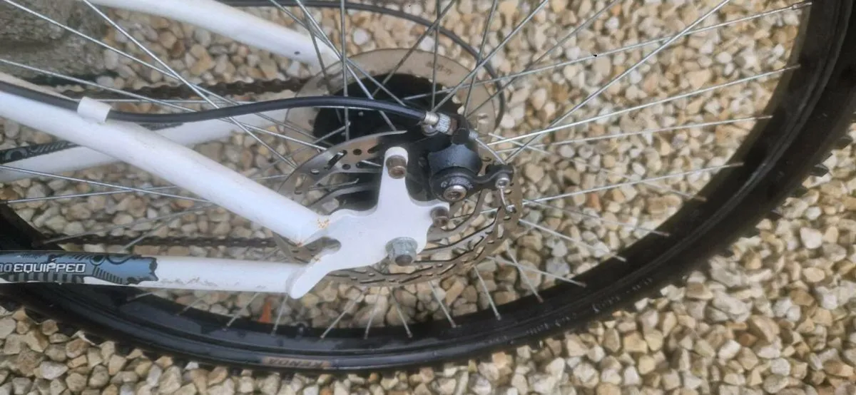 Bicycle - Image 4