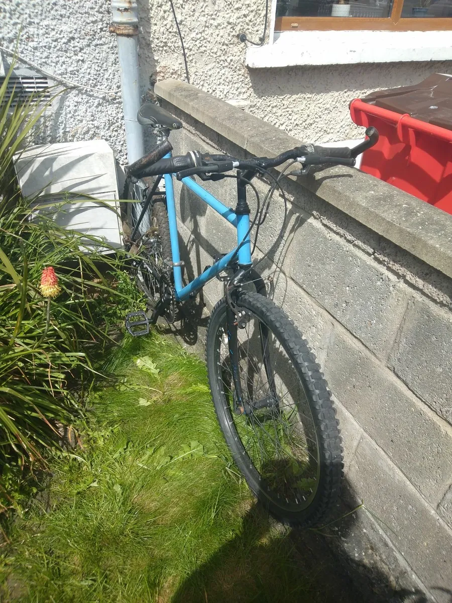 Bicycle - Image 4