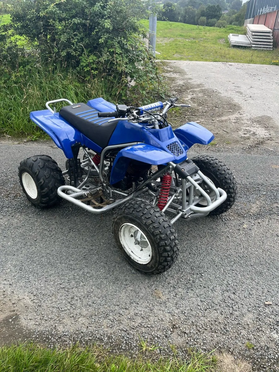 Yamaha blaster - Image 2