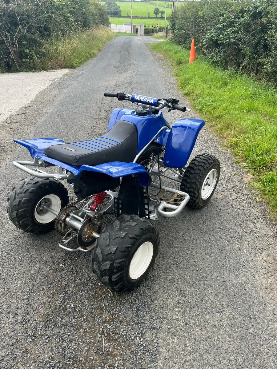 Yamaha blaster - Image 3