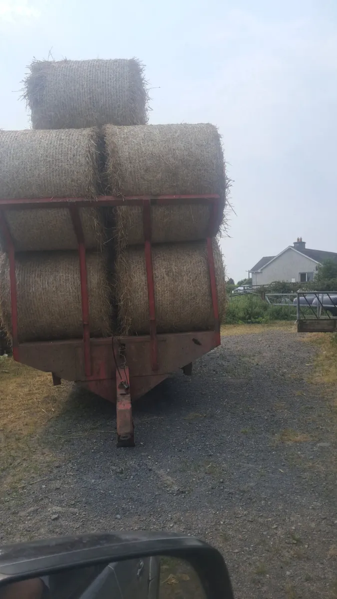 Wheaten straw