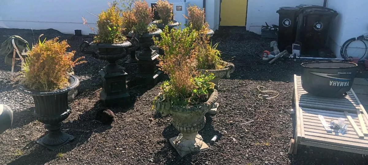 Urns - Image 2