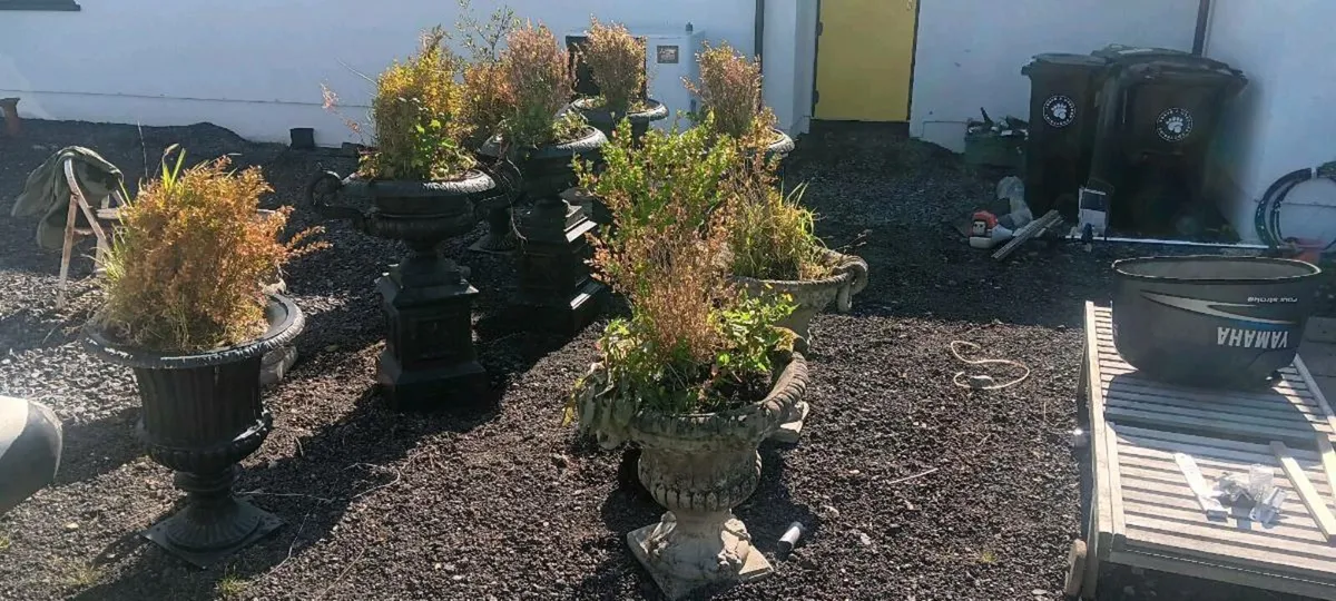 Urns - Image 3