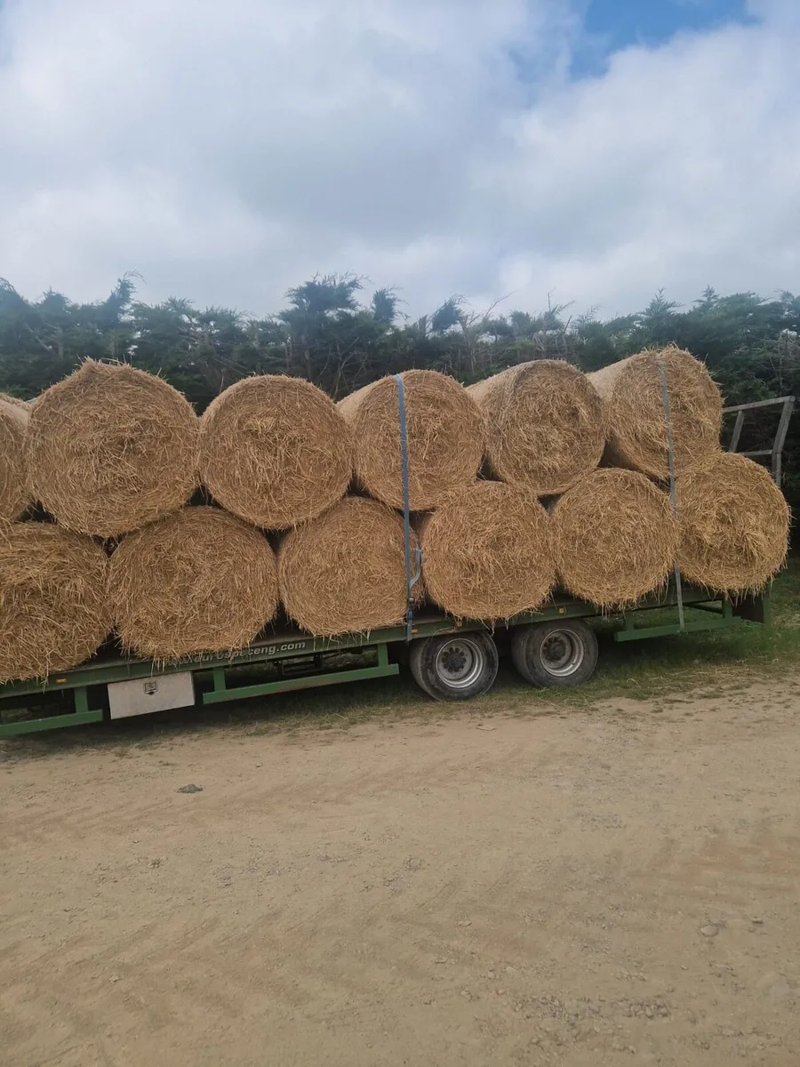 Straw
