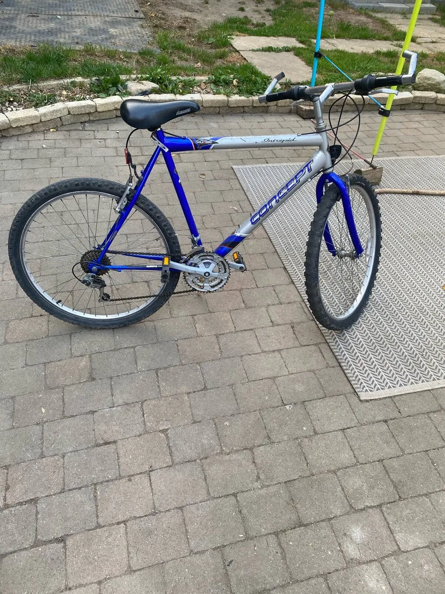 Concept Intrepid bike - Image 1