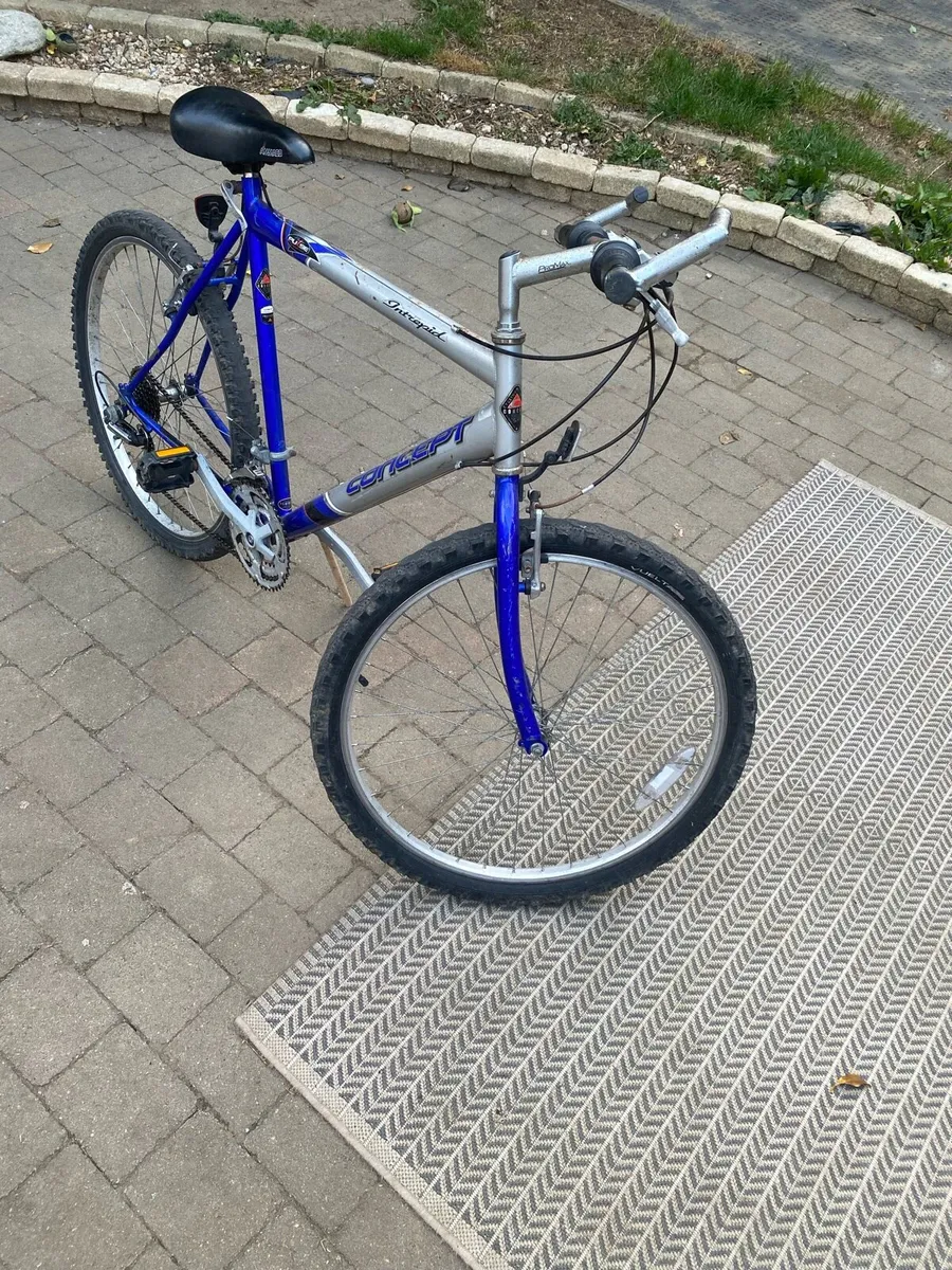 Concept Intrepid bike - Image 2
