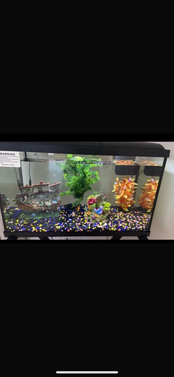 Fish Tank for Sale - Image 1
