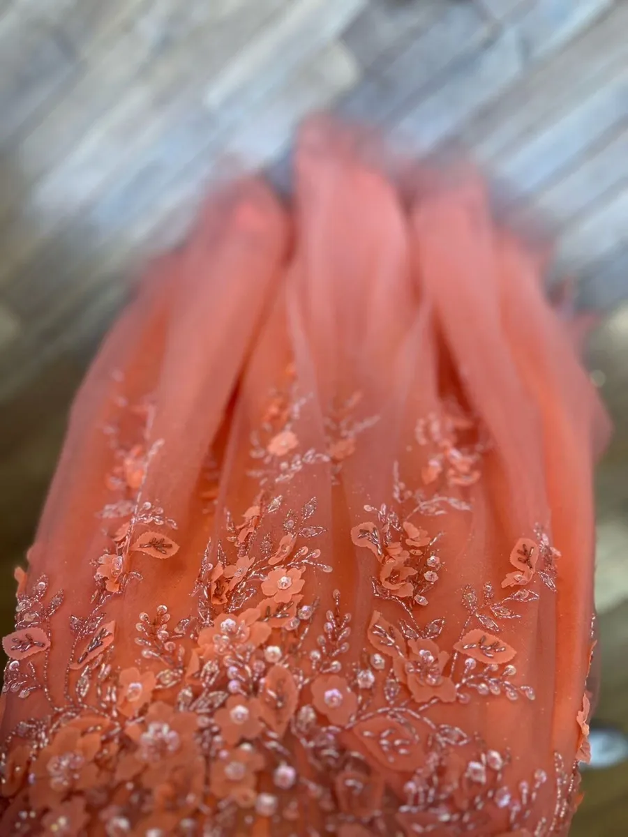 Dani’s closet debs dress - Image 3
