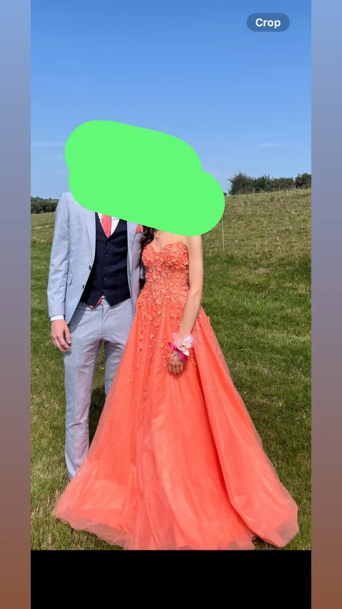 Dani’s closet debs dress - Image 4