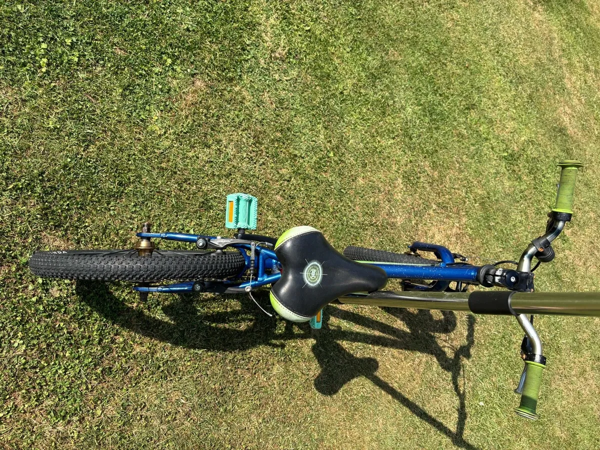 Carrera Cosmos kids Bike - Image 3