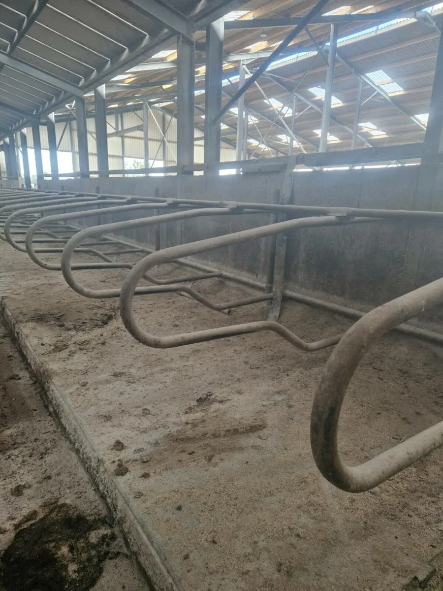 Cubicles - Image 2