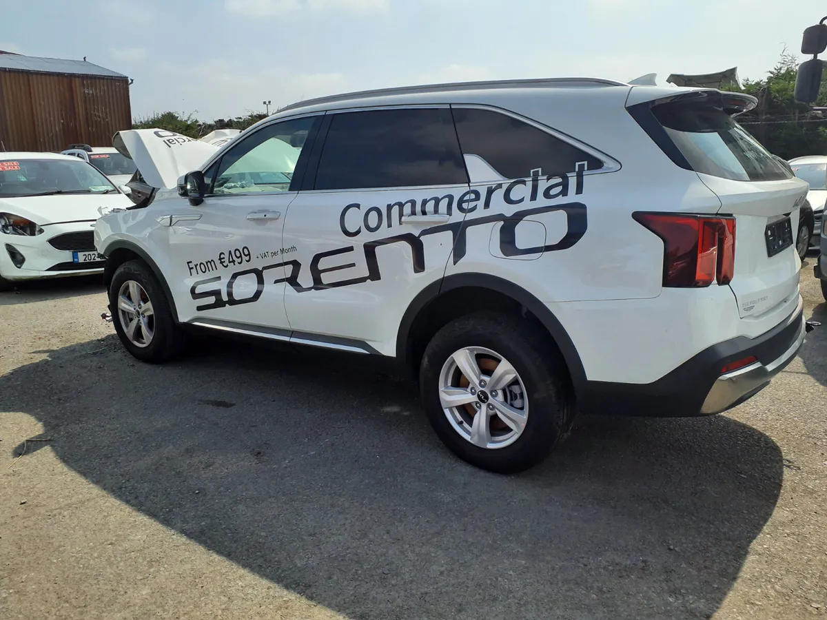 2025 Kia Sorento commercial - Image 4