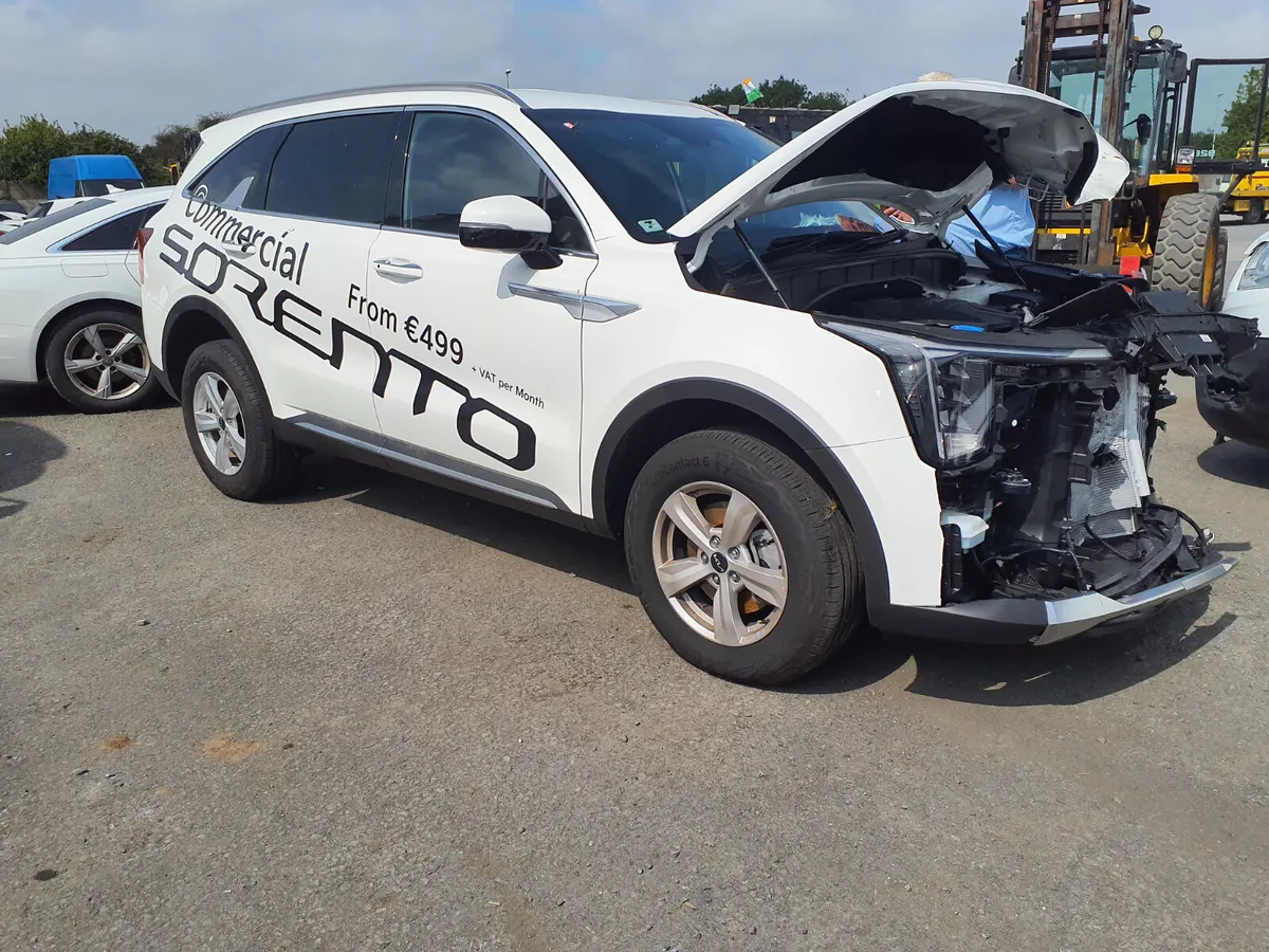 2025 Kia Sorento commercial - Image 1