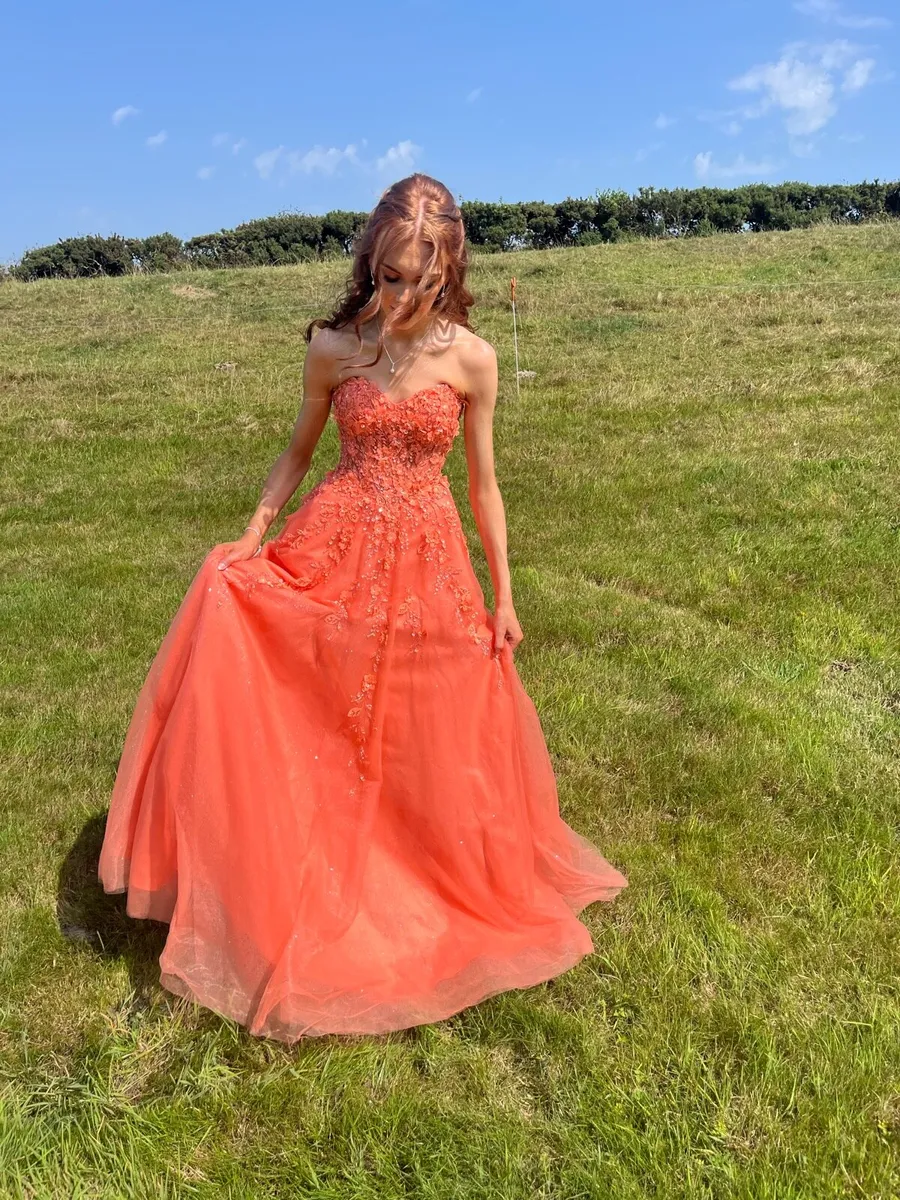 Dani’s closet debs dress - Image 1