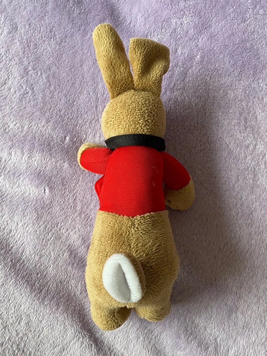 Peter Rabbit Flopsy Bunny Soft Toy - Image 2