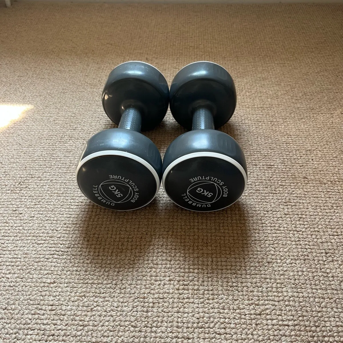 5kg Dumbbells - Image 1