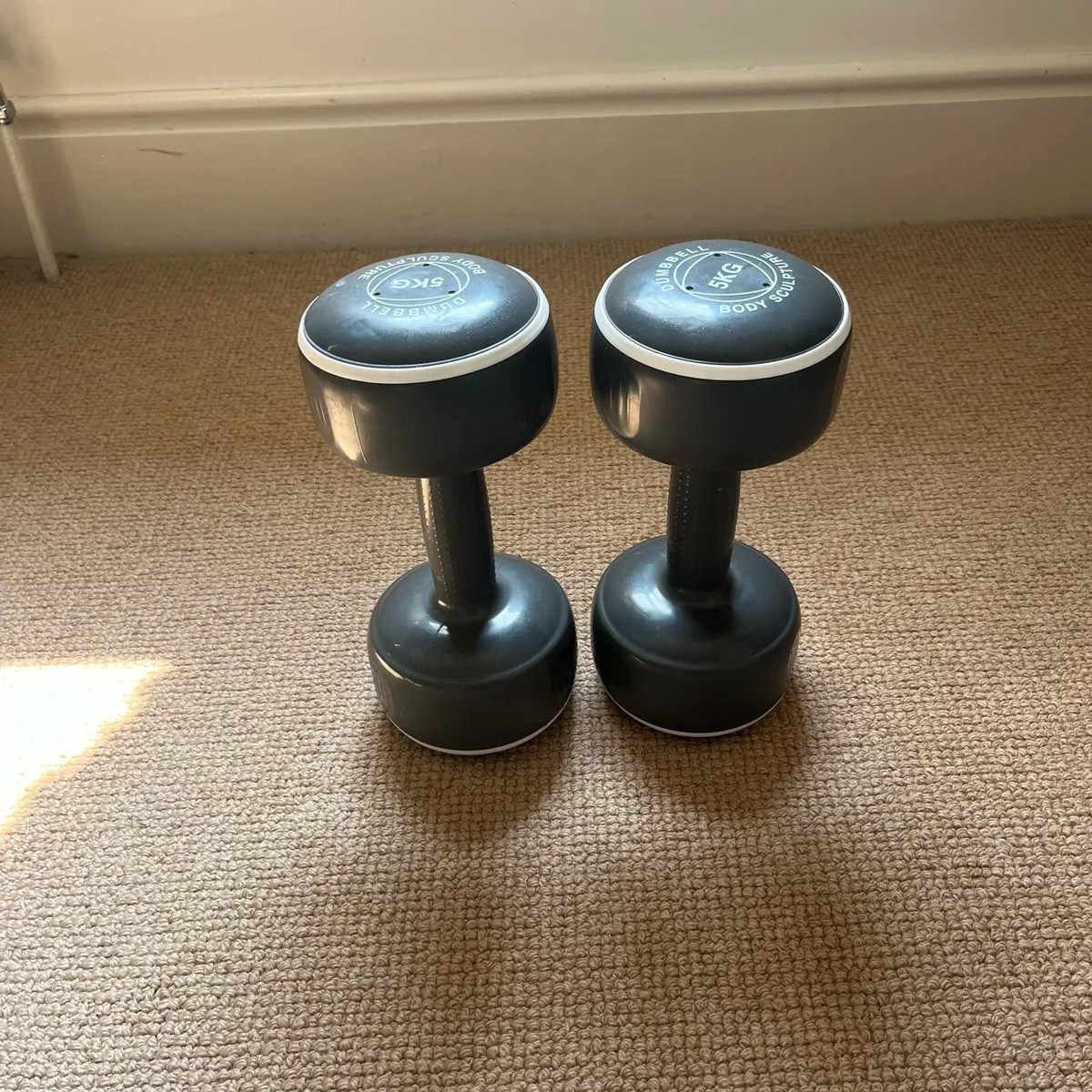 5kg Dumbbells - Image 2