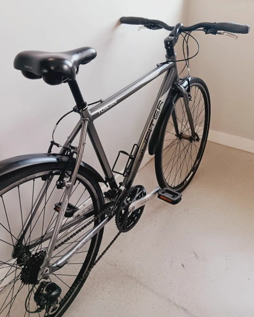 Large jupiter hybrid bike + Kryptonite lock - Image 3
