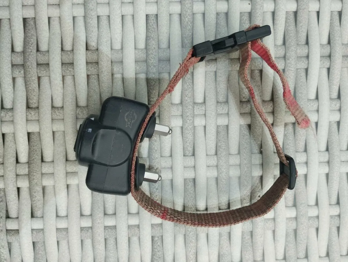 Electric dog collar - Image 2