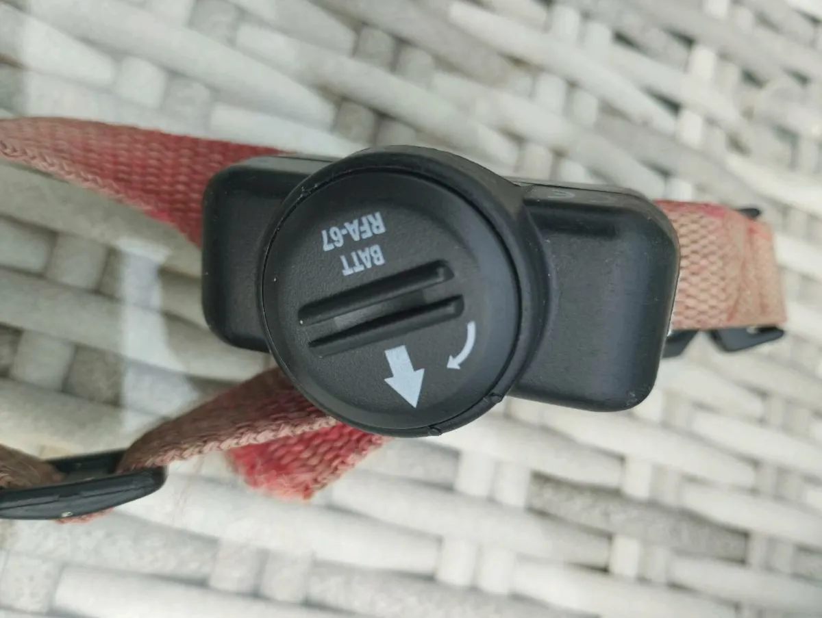 Electric dog collar - Image 3