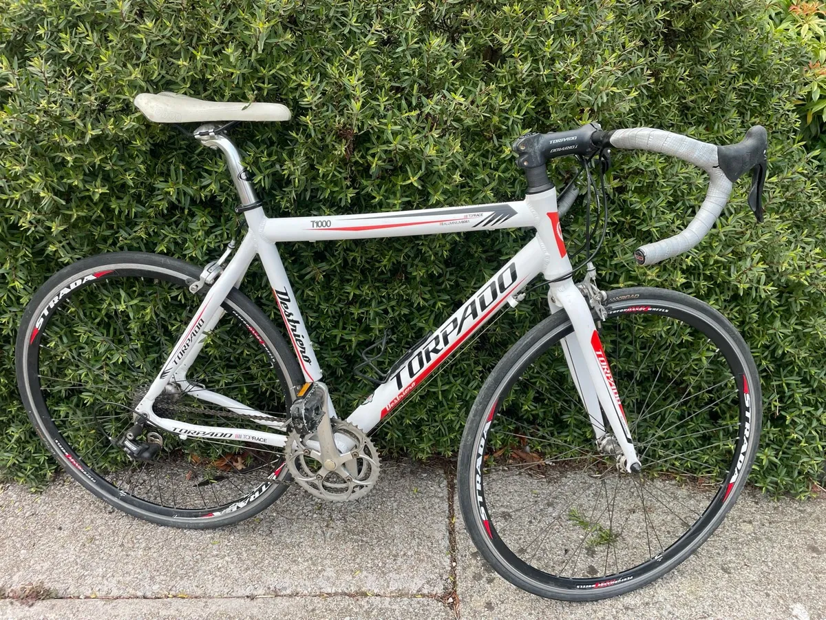 Gents Racer -  Torpado Destriero 54cm - Image 1