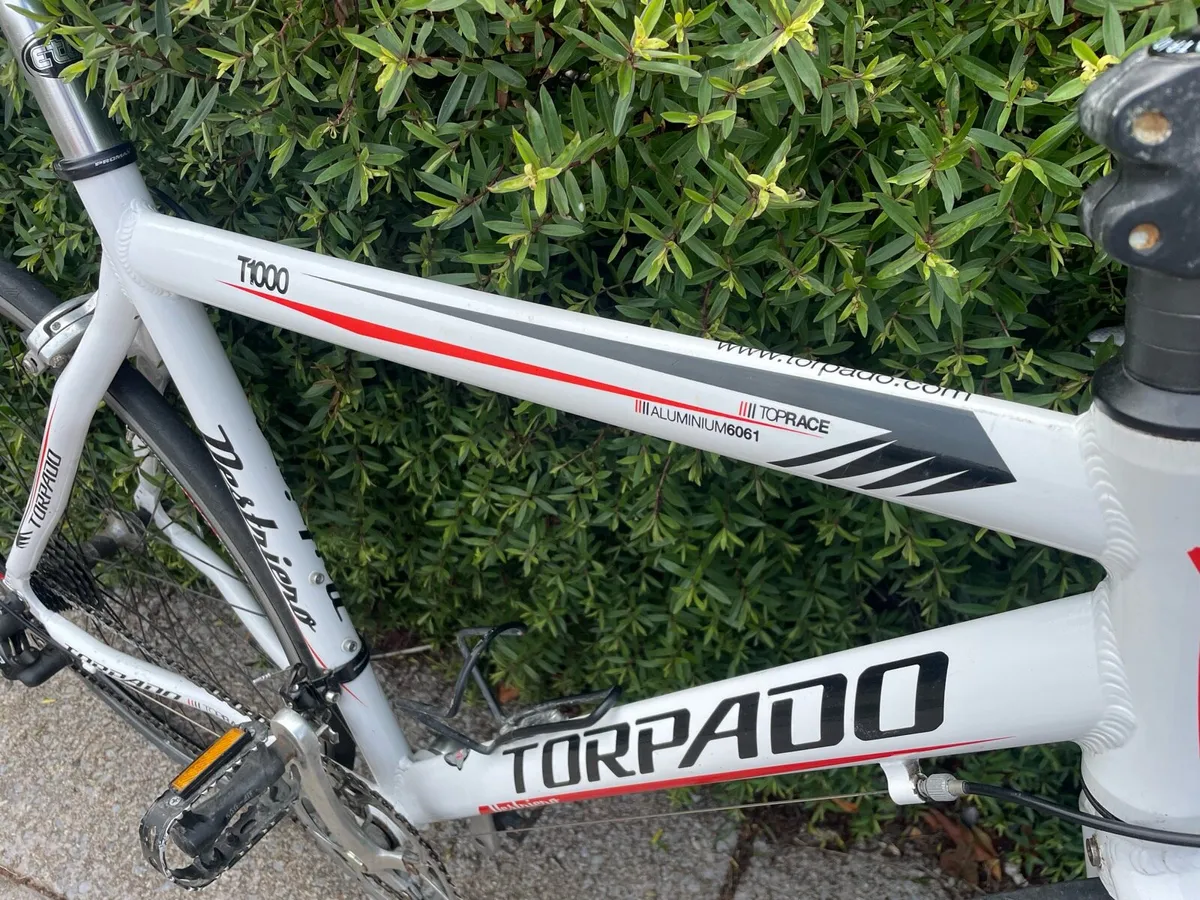Gents Racer -  Torpado Destriero 54cm - Image 2
