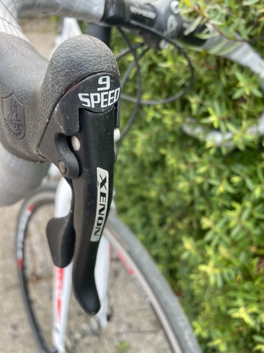 Gents Racer -  Torpado Destriero 54cm - Image 3