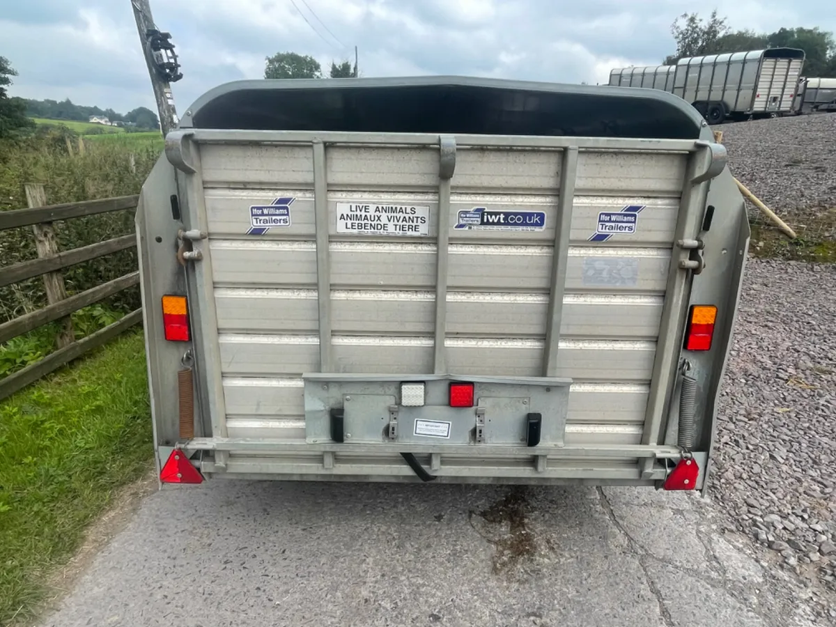 Ifor Williams 14ft x 5ft 3” sheep trailer - Image 4