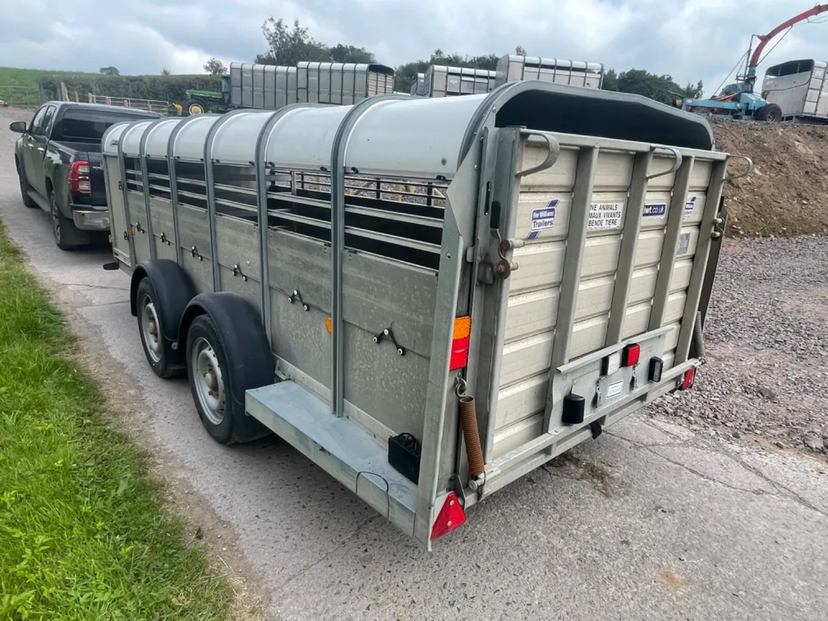 Ifor Williams 14ft x 5ft 3” sheep trailer - Image 3