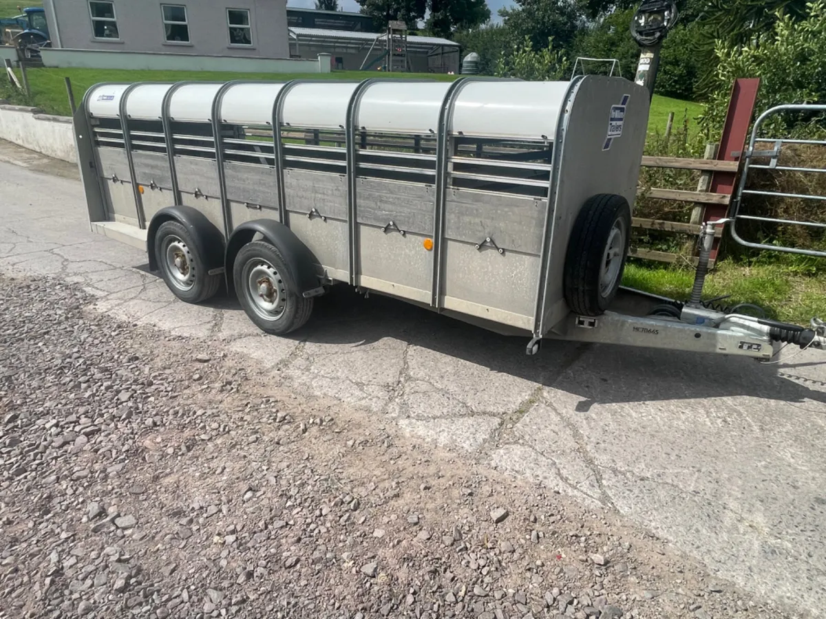 Ifor Williams 14ft x 5ft 3” sheep trailer - Image 2