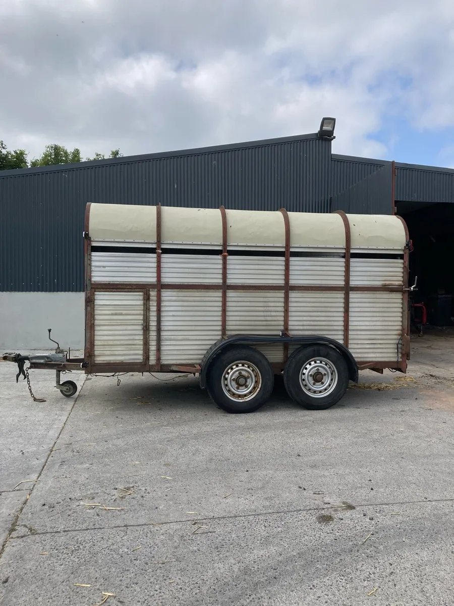 Hamilton 12x6 cattle trailer - Image 1