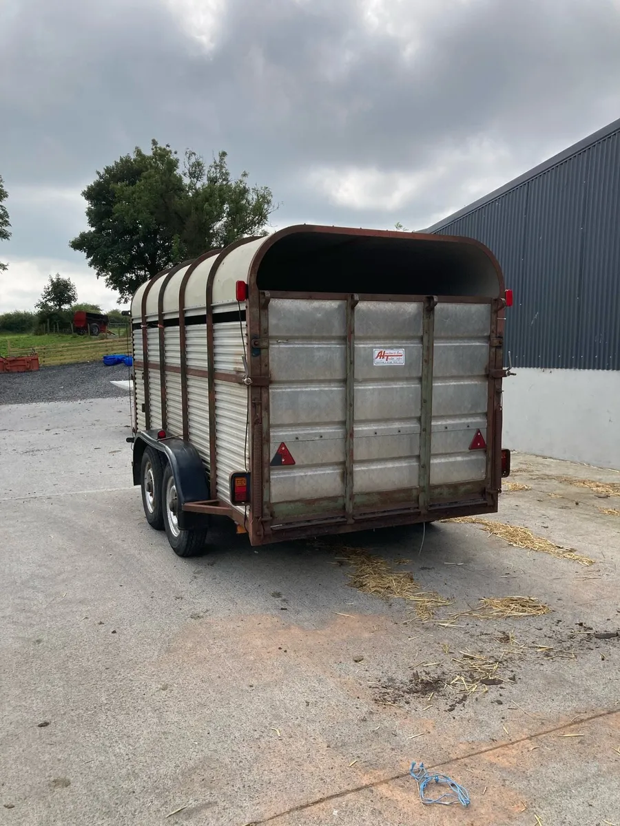 Hamilton 12x6 cattle trailer - Image 2