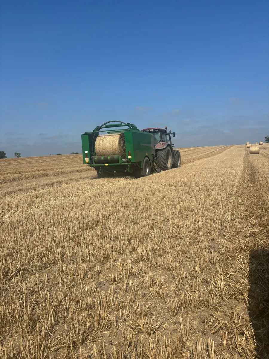 Wheaten Straw - Image 1