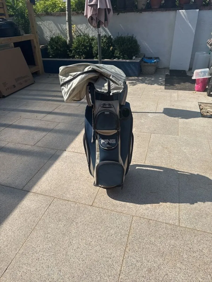 golf cart bag - Image 1