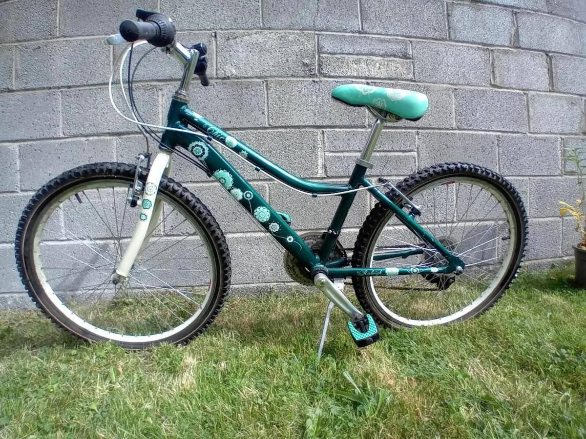 Two bikes for sale - good condition - Image 1