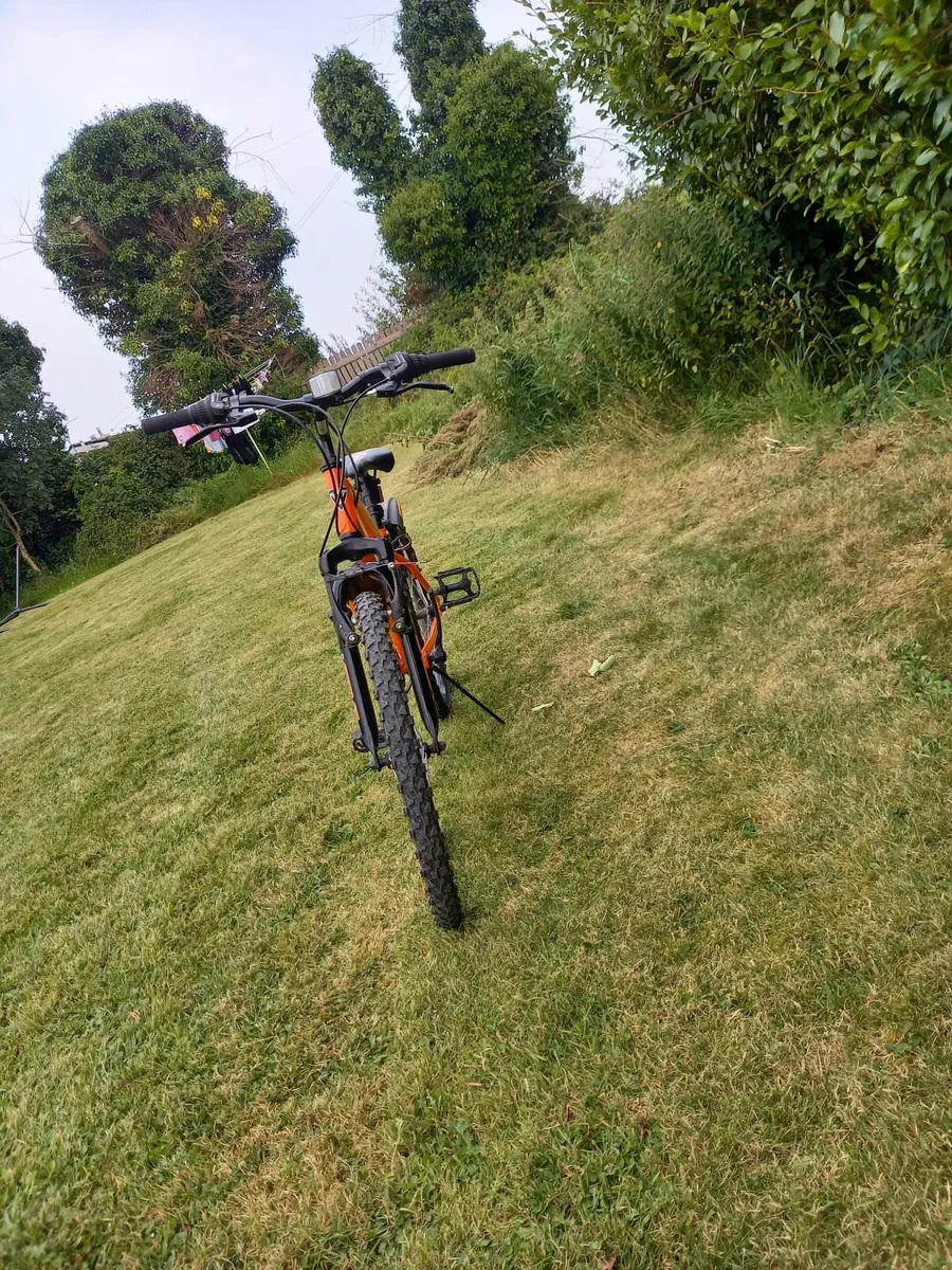 Bike - Image 4